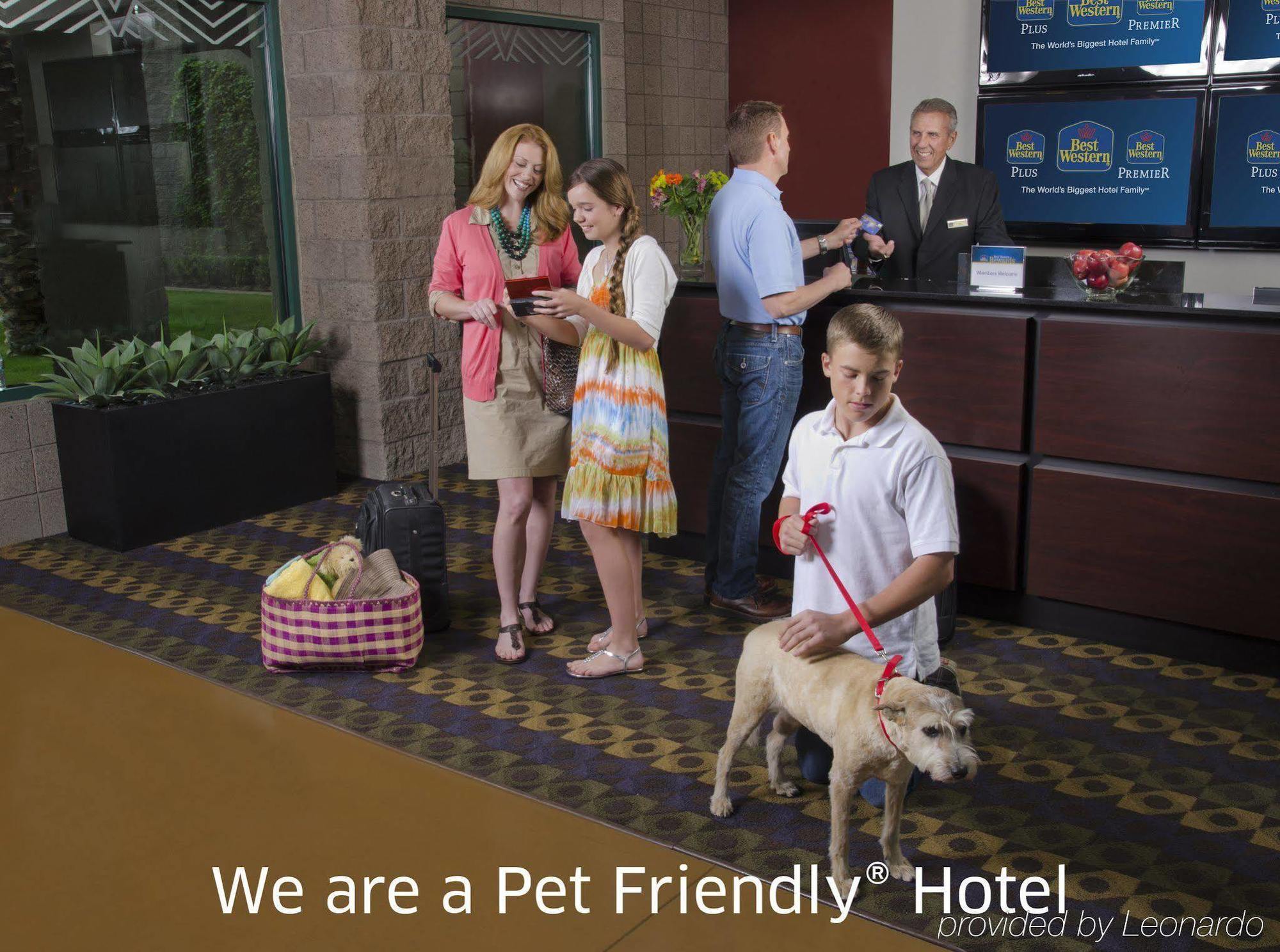 Best Western Knoxville Suites - Downtown Exterior photo